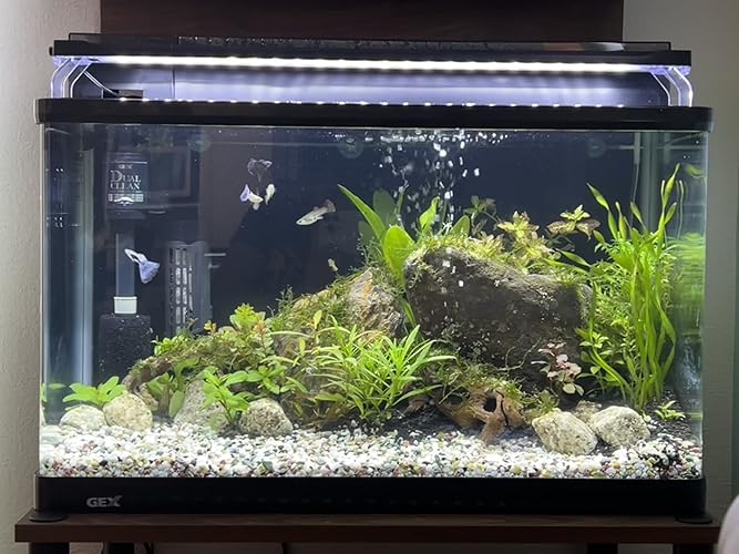 GEX ガラス水槽 大きめ 90L マリーナ900LEDセット GEX ガラス水槽セット